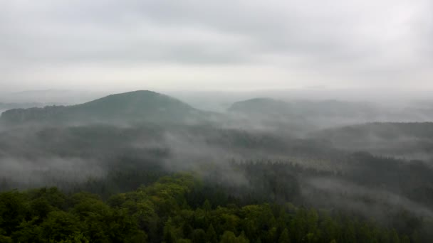 Úžasné sunrise v parku Švýcarsko krásná hora czech-Sasko. skalnaté kopce vrcholy se zvýšil z zamlžené pozadí — Stock video