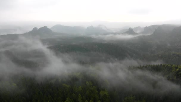 Neblig-melancholischer Morgen. Blick über die Birke in ein tiefes Tal voller schwerer Nebelschwaden. Herbstlandschaft bei Tagesanbruch nach verregneter Nacht. — Stockvideo