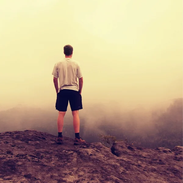 셔츠와 바지에 남자입니다. 안개 낀 풍경 보고 작센 스위스 국립공원의 사암 바위의 정상에 관광. — 스톡 사진