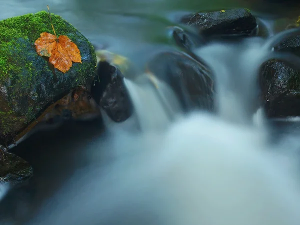 Cascade sur un petit ruisseau de montagne, l'eau coule sur des blocs de grès mousseux et des bulles créent sur le niveau de l'eau laiteuse. Feuilles colorées de l'érable ou tremble sur les pierres dans l'eau . — Photo