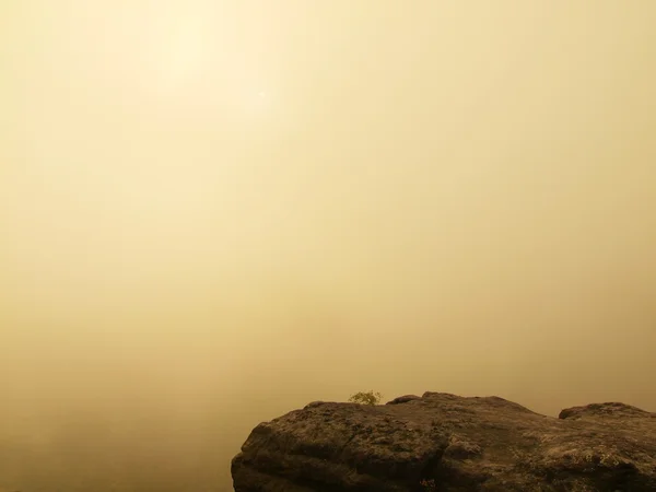 Mañana melancólica de otoño en el parque rocoso. Vista en valle profundo largo lleno de niebla colorida pesada. Paisaje otoñal al amanecer después de la noche lluviosa —  Fotos de Stock