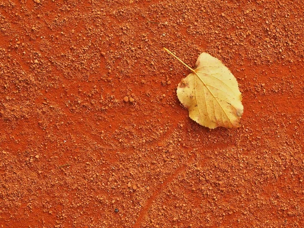 Detail of dry leaf on tennis court. Dry light red crushed bricks surface on outdoor tennis ground. End of season. — Stock Photo, Image