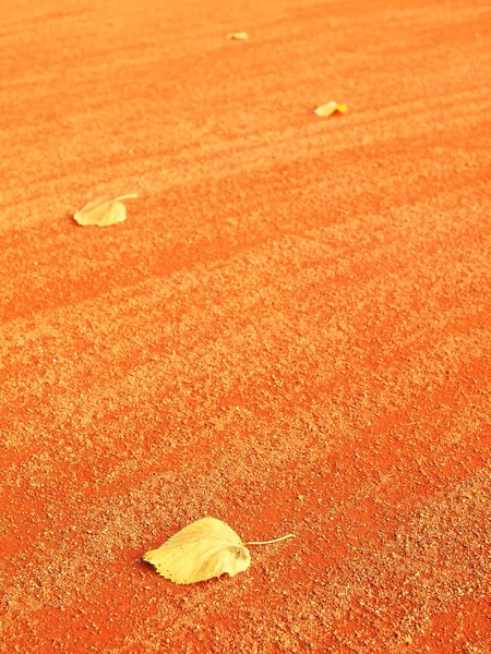 Hoja seca una pista de tenis. Seco claro rojo ladrillos triturados superficie en el campo de tenis al aire libre. Fin de temporada . —  Fotos de Stock