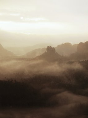 Sonbahar melankolik sabahı rocky Park. Uzun derin vadiye ağır renkli sis tam görüntüleyin. Yağmurlu gece sonra daybreak içinde sonbahar manzara