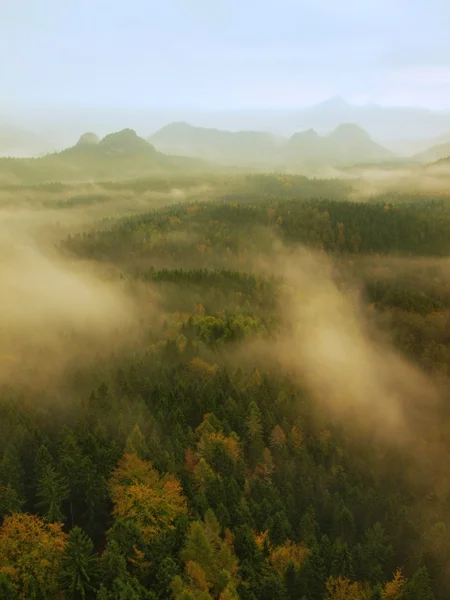 Autumn melancholic morning in rocky park. View into long deep valley full of heavy colorful mist. Autumn landscape within daybreak after rainy night — Stock Photo, Image