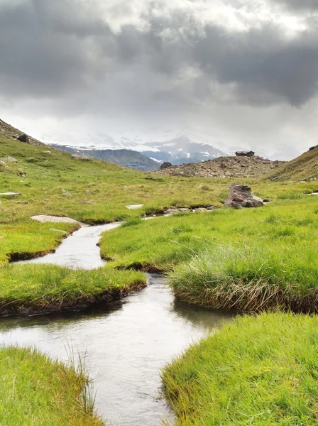 Arroyo en el prado verde fresco de los Alpes, picos nevados de los Alpes en el fondo. Clima frío brumoso y lluvioso en las montañas al final del verano — Foto de Stock