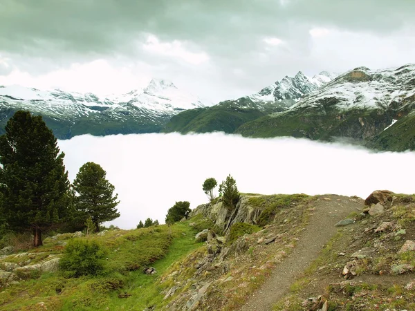 Prairie verte fraîche et sommets brumeux des Alpes en arrière-plan. Fin de journée froide et humide dans les Alpes — Photo