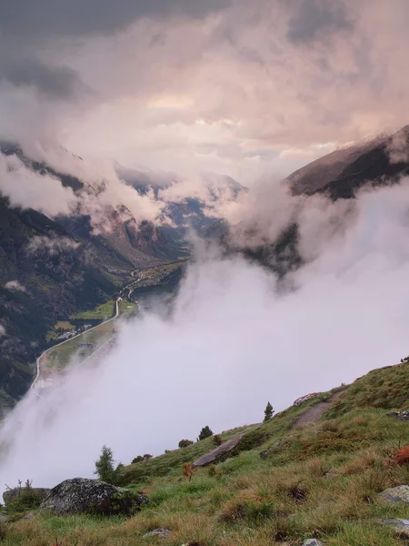 Frische grüne Wiesen und neblige Gipfel der Alpenberge im Hintergrund. nasskaltes Ende des Tages in den Alpen — Stockfoto