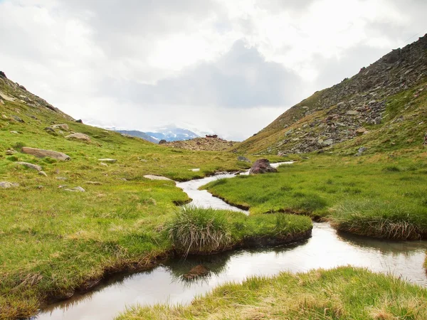 Arroyo en el prado verde fresco de los Alpes, picos nevados de los Alpes en el fondo. Clima frío brumoso y lluvioso en las montañas al final del verano . —  Fotos de Stock