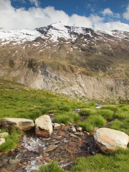 Bach in frischen grünen Almwiesen, schneebedeckte Gipfel der Alpen im Hintergrund. Kaltes nebliges und regnerisches Wetter in den Bergen zum Ende des Sommers. — Stockfoto