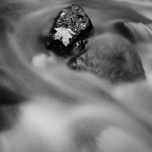 Feuille d'érable orange foncé pourrie dans un courant ondulé d'eau froide. Thème automne . — Photo