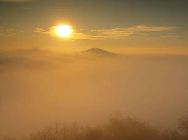 Magnífica niebla pesada en el paisaje. Otoño fogy amanecer en un campo. Colina aumentó de la niebla, la niebla se colorea a oro y naranja —  Fotos de Stock