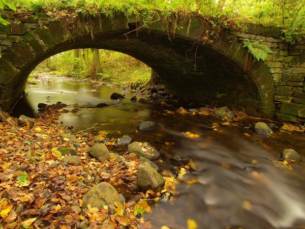 Den gamla steniga bron över ström. Vattnet i bäcken full av färgglada löv, blad på grus, blå suddig vatten kör över stenblock. — Stockfoto