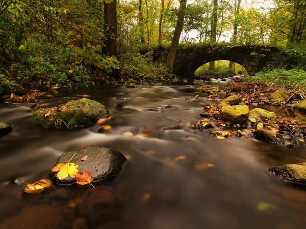 Den gamla steniga bron över ström. Vattnet i bäcken full av färgglada löv, blad på grus, blå suddig vatten kör över stenblock. — Stockfoto