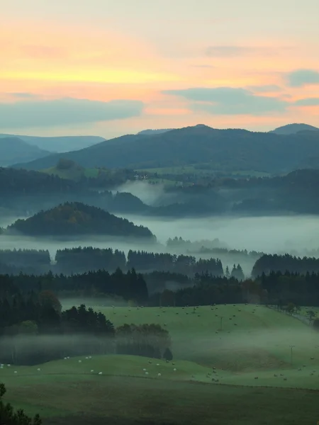 Herfst fogy platteland. Kijk naar lang mistige dal vol met kleurrijke nevel. Herfst melancholische landschap na regenachtige nacht. — Stockfoto