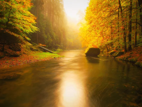秋の川。雨の夜の後川の朝。両方の川の河岸のカラフルな森。サンセット オレンジのブナに覆われた山川の上の葉します。. — ストック写真