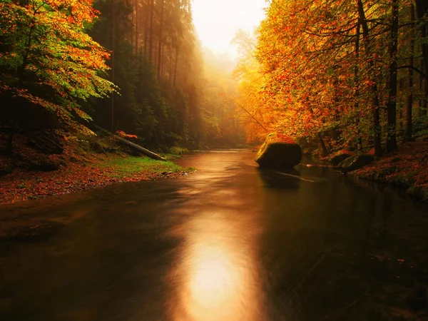 Πετρώδες Τράπεζα του φθινοπώρου ποταμού βουνού καλύπτονται από πορτοκαλί οξιά φύλλα. Φρέσκα πράσινα φύλλα στα κλαδιά πάνω από το νερό κάνει πολύχρωμο αντανάκλαση στο επίπεδο — Φωτογραφία Αρχείου