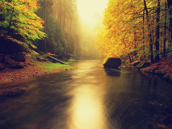 Puesta de sol de ensueño sobre la montaña en el bosque de otoño. Niebla colorida entre árboles en las orillas del río . — Foto de Stock