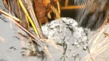 Jakuziler kirli suda. Kabarcık akışları arasında eski çimen sapları, korkunç koku su akışı içine