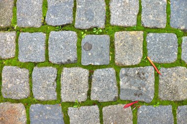 Patika ile sonbahar kuru renkli parke parke taşı bırakır