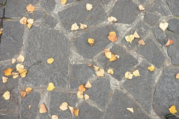 Empedrado pavimentación sendero con otoño hojas secas de colores — Foto de Stock