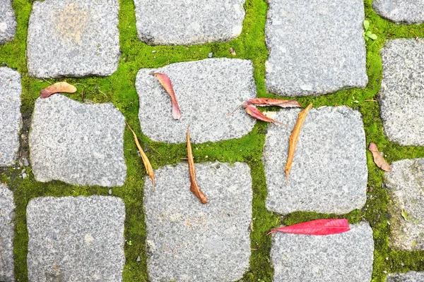 Empedrado pavimentación sendero con otoño hojas secas de colores — Foto de Stock