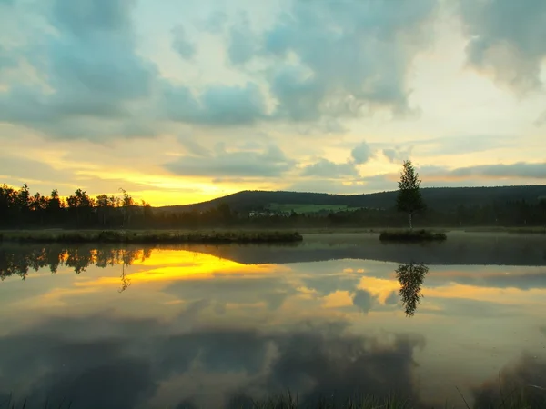 Za úsvitu podzimní jezero s zrcadlení vodní hladiny v Tajemný les, mladý strom na ostrově uprostřed. Svěží zelená barva bylin a trávy, modré růžové obláčky v nebi. — Stock fotografie