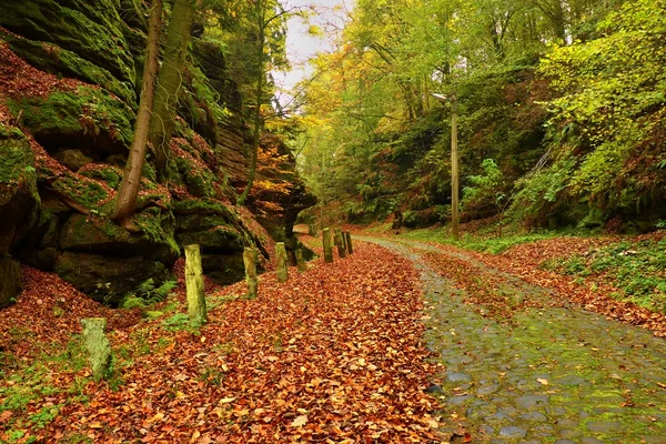 Gamla cobble sten väg kantad av steniga milstolpar i djupa gulch i höst skog. Gamla orange Bladen täcka marken — Stockfoto