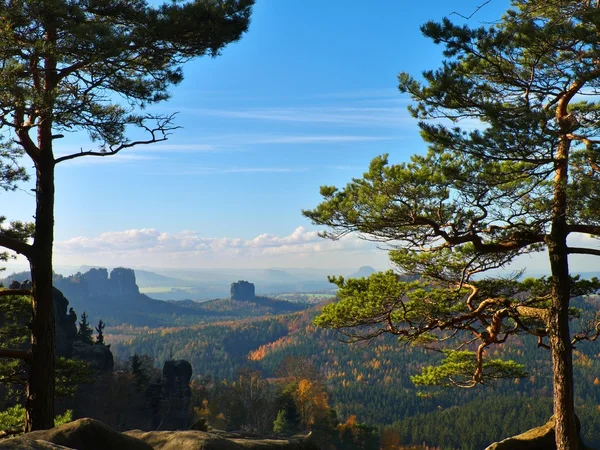 Vista attraverso rami di pino e faggio fino alla profonda valle nebbiosa entro l'alba. Picchi di arenaria aumentati da sfondo nebbioso, la nebbia è rosa e arancione a causa dell'alba . — Foto Stock