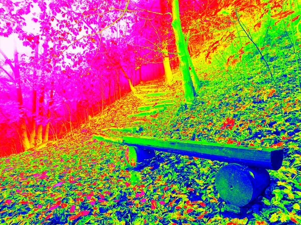 Thermal photo of footpath in autumn forest. Leaves on the ground in changed colors. Photography in spectrum of invisible light. — Stock Photo, Image