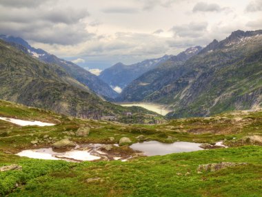 Taze yeşil Alps çayır, Alpler karlı zirveleri arka planda tahammül. Dağlar yaz sonunda soğuk sisli ve yağışlı havalarda.