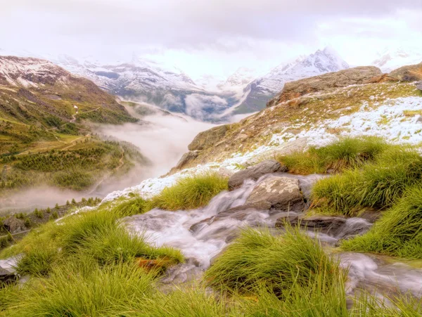 Bach in frischer Almwiese, schneebedeckte Gipfel der Alpen — Stockfoto