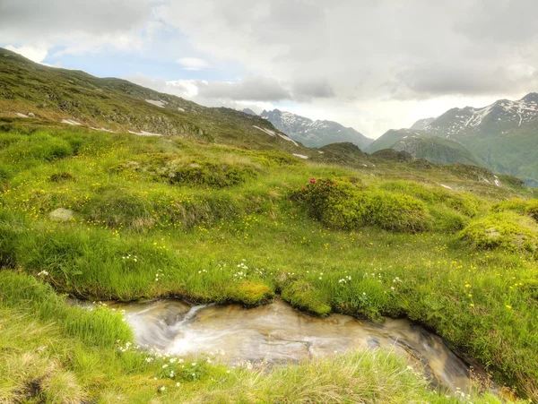 Bach in frischer Almwiese, schneebedeckte Gipfel der Alpen — Stockfoto