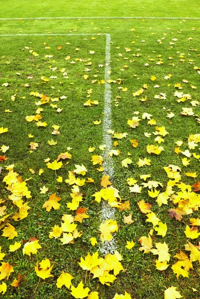 Fine della stagione calcistica. Foglie d'acero secco cadute a terra di tappeto erboso calcio verde naturale con linea verniciata bianca  . — Foto Stock