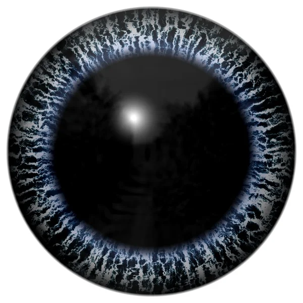 Œil d'animal avec iris de couleur violette, vue détaillée dans une ampoule pour les yeux. Étranger oeil étrange — Photo