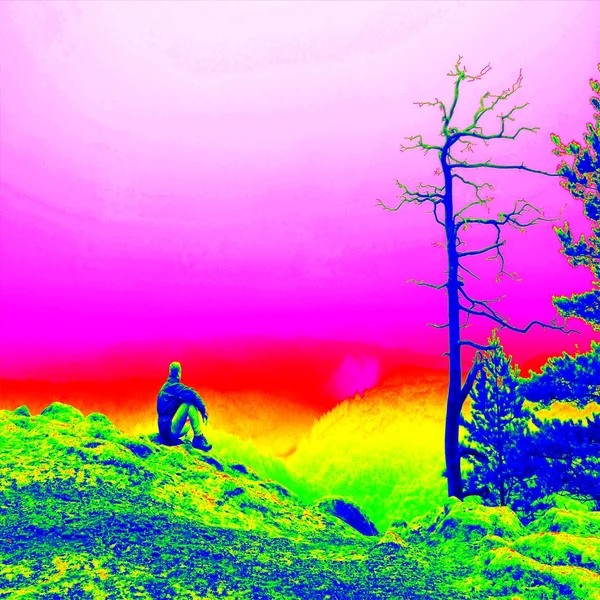 Fantastische Infrarotaufnahme der felsigen Landschaft, Kiefernwald mit buntem Nebel, heißer, sonniger Himmel darüber. Grunge-Hintergrund in Thermografie-Farben. — Stockfoto