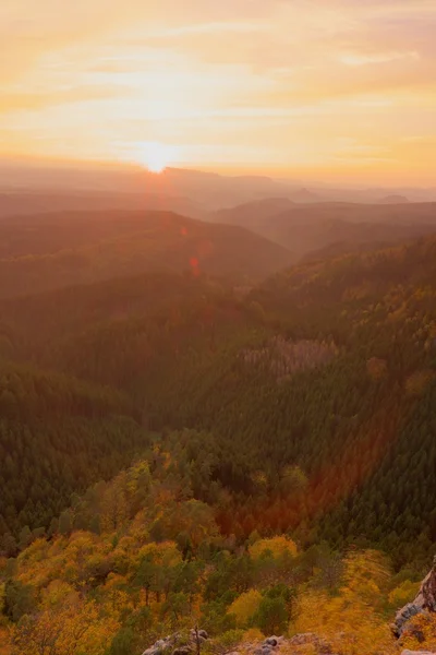 Údolí plné barevné mlhy a vrcholy vysokých stromů jsou trčí k nebi. Romantický podzim sunset. — Stock fotografie