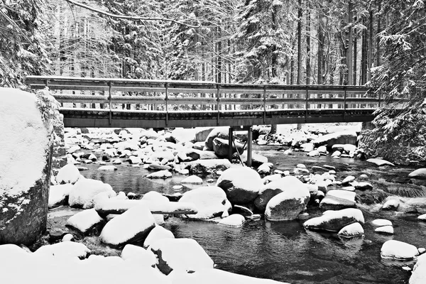 Inverno no rio e na velha passarela. Pedras grandes no córrego coberto com neve em pó fresco e água preguiçosa com baixo nível. Reflexões da floresta no nível da água . — Fotografia de Stock