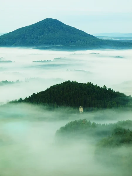 春雾景观。清晨在波希米亚萨克森瑞士美丽山。从低雾峰山增加. — 图库照片