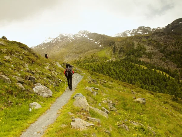 Turist med stolpar och stor ryggsäck promenader på stenig väg i morgon landskap. Nationella alpin park i Schweiz. Melankolisk höst morgon. — Stockfoto