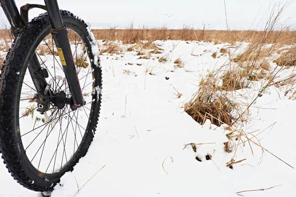 The front wheel of mountain bike in the first snow. Dark foggy weather above meadow with old dry grass. Melted snow flakes on tyre, frame and disk break. — Stock Photo, Image