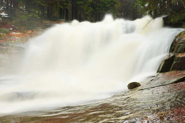 Huge stream of water is falling into foamy pond below. High cascade in forest. Crystal freeze water of mountain river. — Stock Photo, Image