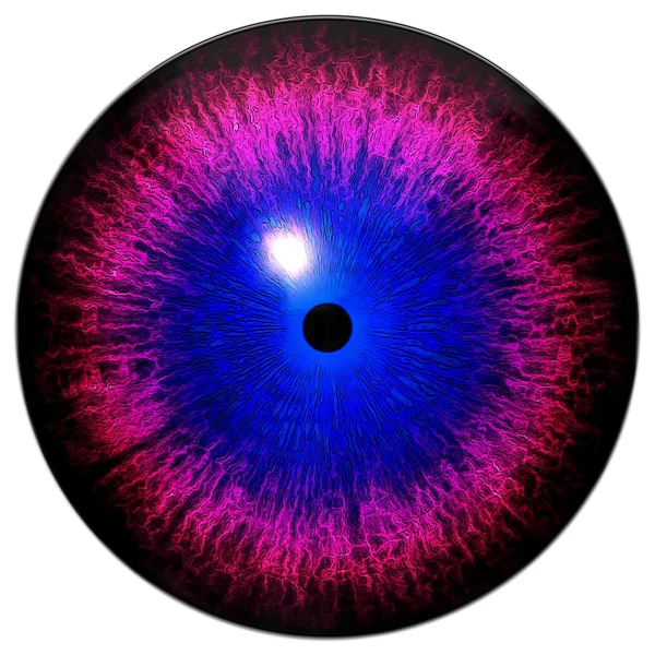 Œil animal avec iris de couleur contrastée, vue détaillée dans l'œil — Photo