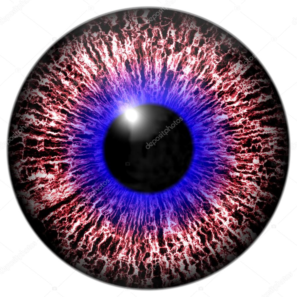 Animal eye with contrast colored iris, detail view into eye