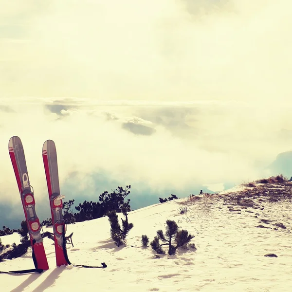 Esquís en la nieve en las montañas, bonito día de invierno soleado en el pico — Foto de Stock