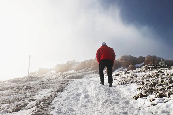 Turist i rött är långsamt på väg till snöiga backen. Frysa vinterdag i Alperna. — Stockfoto