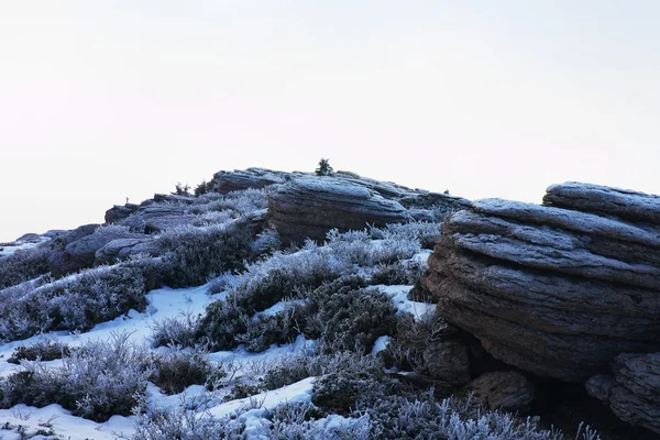 Pico rocoso de montaña apina en el soleado día de invierno. Arándano congelado y roca bajo nieve fresca en polvo —  Fotos de Stock