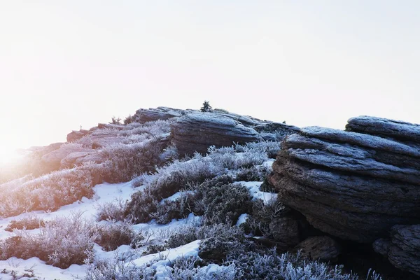 Kayalık tepe güneşli kış günü apine Dağı. Donmuş bilberry ve rock taze kar kar altında — Stok fotoğraf