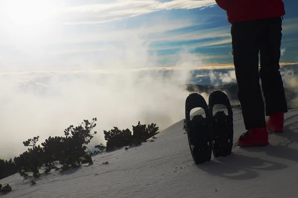 Turista in nero con le ciaspole in piedi sul punto di vista innevato. Parco nazionale delle Alpi parco in Italia. Montagne invernali soleggiate . — Foto Stock