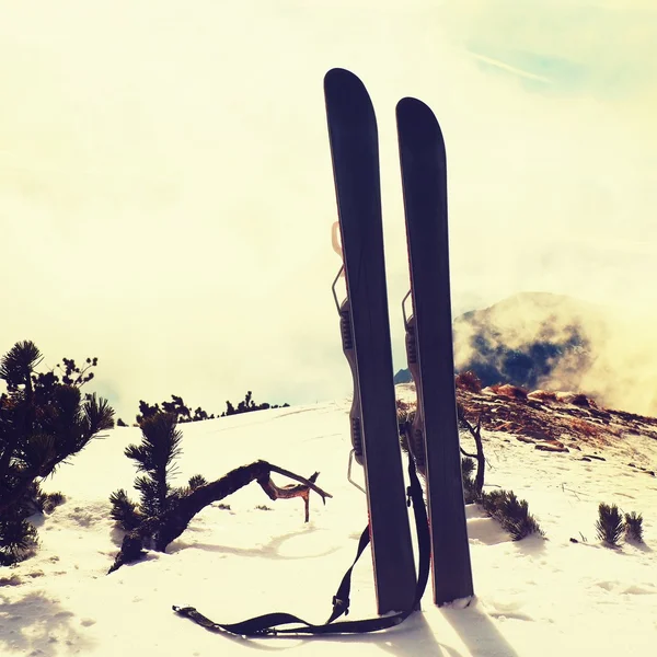 Ski im Schnee auf den Bergen, schöner sonniger Wintertag auf dem Gipfel — Stockfoto